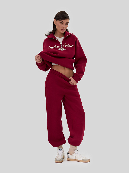 Костюм утепленный с худи со стойкой